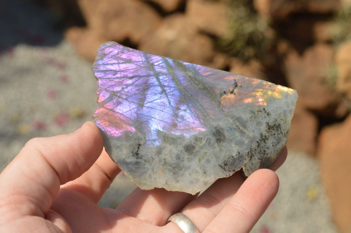 Polished One Side Polished Purple Labradorite Slices x 12 From Tulear, Madagascar - TopRock