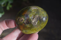 Polished Green Opal Galet / Palm Stones x 12 From Antsirabe, Madagascar - Toprock Gemstones and Minerals