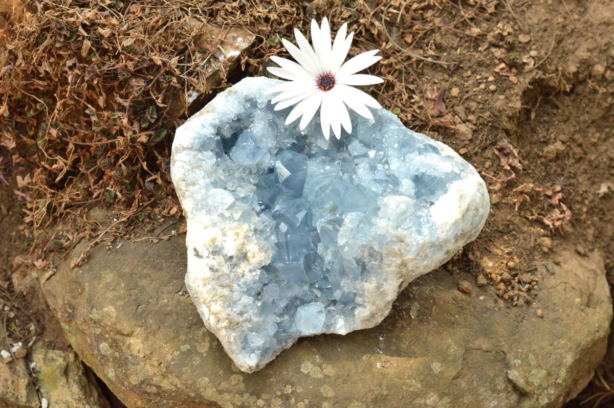 Natural Blue Celestite Specimen With Gemmy Cubic Crystals x 1 From Sakoany, Madagascar - TopRock