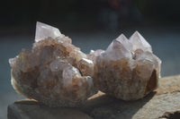 Natural Spirit Amethyst Quartz Clusters  x 6 From Boekenhouthoek, South Africa - Toprock Gemstones and Minerals