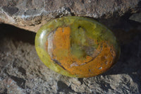 Polished Green Opal Galet / Palm Stones x 12 From Antsirabe, Madagascar - Toprock Gemstones and Minerals