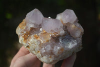 Natural Spirit Amethyst Quartz Clusters  x 6 From Boekenhouthoek, South Africa - Toprock Gemstones and Minerals