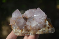 Natural Spirit Amethyst Quartz Clusters  x 6 From Boekenhouthoek, South Africa - Toprock Gemstones and Minerals