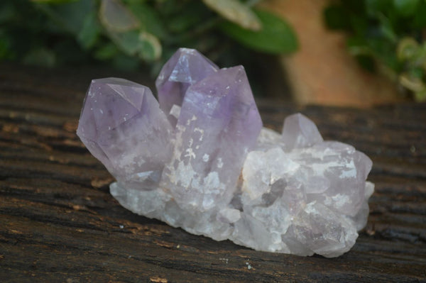 Natural Jacaranda Amethyst Clusters  x 3 From Zambia - Toprock Gemstones and Minerals 