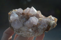 Natural Spirit Amethyst Quartz Clusters  x 6 From Boekenhouthoek, South Africa - Toprock Gemstones and Minerals