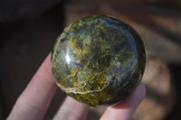 Polished Green Opal Galet / Palm Stones x 12 From Antsirabe, Madagascar - Toprock Gemstones and Minerals