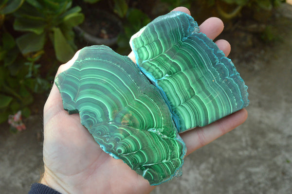 Polished Banded Malachite Slices With Chrysocolla Edging x 4 From Congo - TopRock