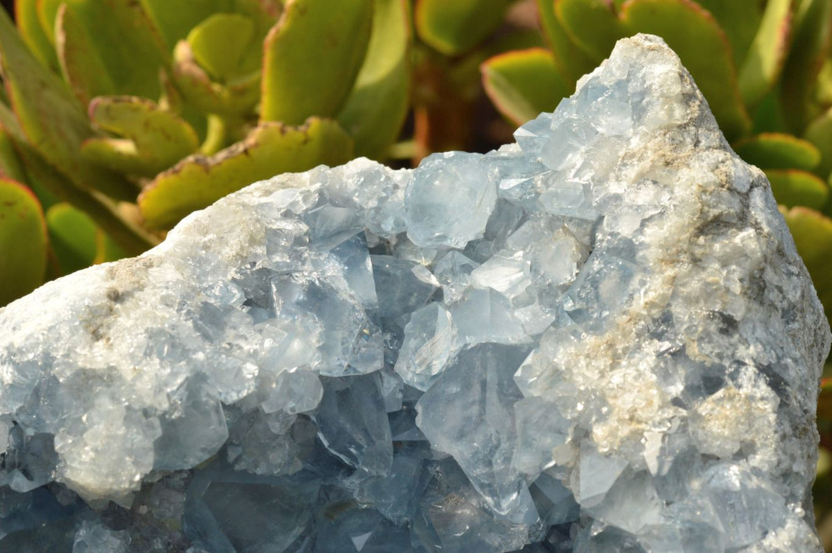 Natural Blue Celestite Specimen With Gemmy Cubic Crystals x 1 From Sakoany, Madagascar - TopRock