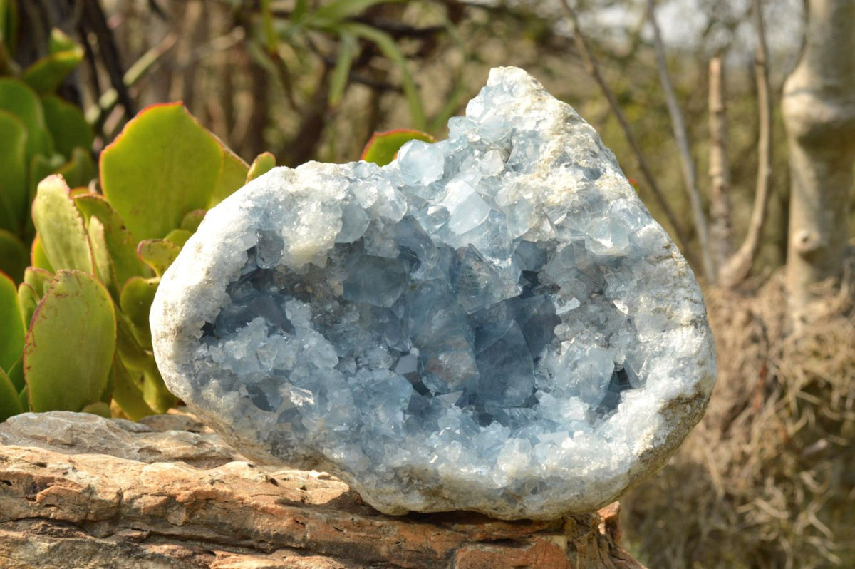 Natural Blue Celestite Specimen With Gemmy Cubic Crystals x 1 From Sakoany, Madagascar - TopRock