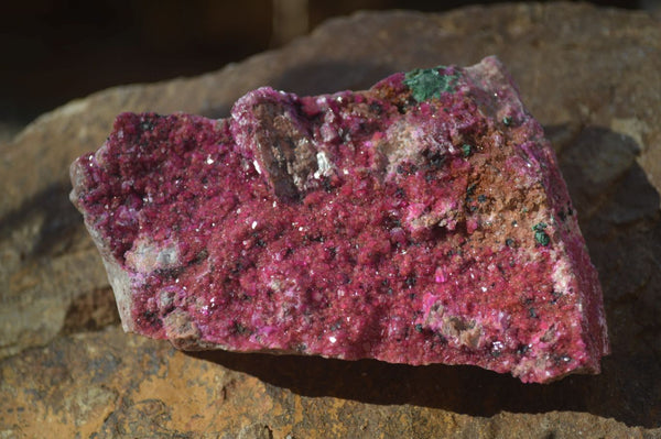Natural Bright Pink Salrose Cobaltion Dolomite Specimens  x 6 From Congo - Toprock Gemstones and Minerals 