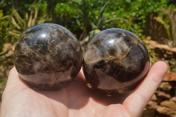 Polished Morion Smokey Quartz Spheres x 3 From Madagascar - TopRock