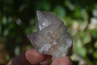 Natural Spirit Amethyst Quartz Crystals x 20 From Boekenhouthoek, South Africa - Toprock Gemstones and Minerals