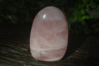 Polished Pink Rose Quartz Standing Free Forms x 2 From Madagascar - Toprock Gemstones and Minerals
