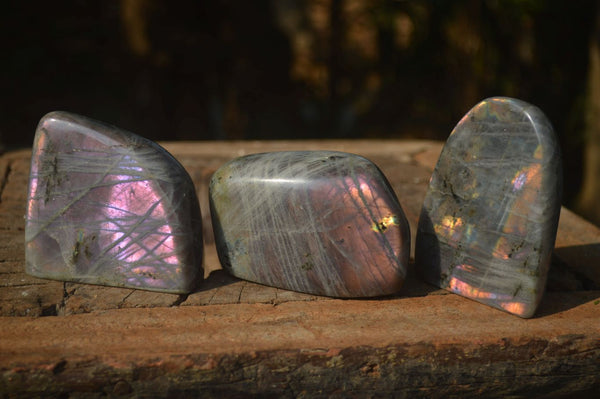 Polished Rare Purple Flash Labradorite Standing Free Forms  x 3 From Tulear, Madagascar - Toprock Gemstones and Minerals 