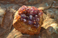 Natural Small Dark "Amethystos" Amethyst Clusters x 35 From Kwaggafontein, South Africa - TopRock