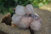 Natural Mixed Spirit Amethyst Quartz Clusters  x 6 From Boekenhouthoek, South Africa - Toprock Gemstones and Minerals