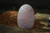 Polished Pink Rose Quartz Standing Free Forms x 2 From Madagascar - Toprock Gemstones and Minerals