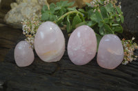 Polished Pink Rose Quartz Standing Free Forms x 4 From Antsirabe, Madagascar - Toprock Gemstones and Minerals