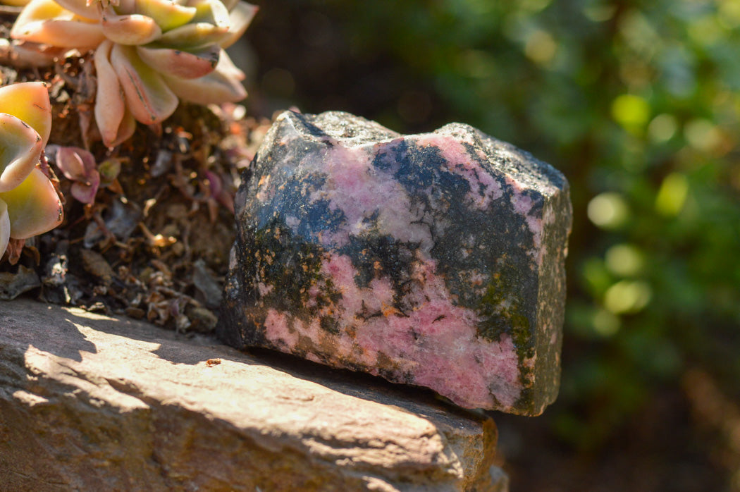 Polished One Side Polished Rhodonite Free Forms x 5 From Ambindavato, Madagascar - TopRock
