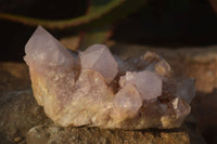 Natural Spirit Amethyst Quartz Clusters x 4 From Boekenhouthoek, South Africa - Toprock Gemstones and Minerals