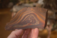 Natural Cobbed Nguni Jasper Pieces  x 12 From Southern Africa - Toprock Gemstones and Minerals