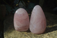 Polished Pink Rose Quartz Standing Free Forms x 2 From Madagascar - Toprock Gemstones and Minerals