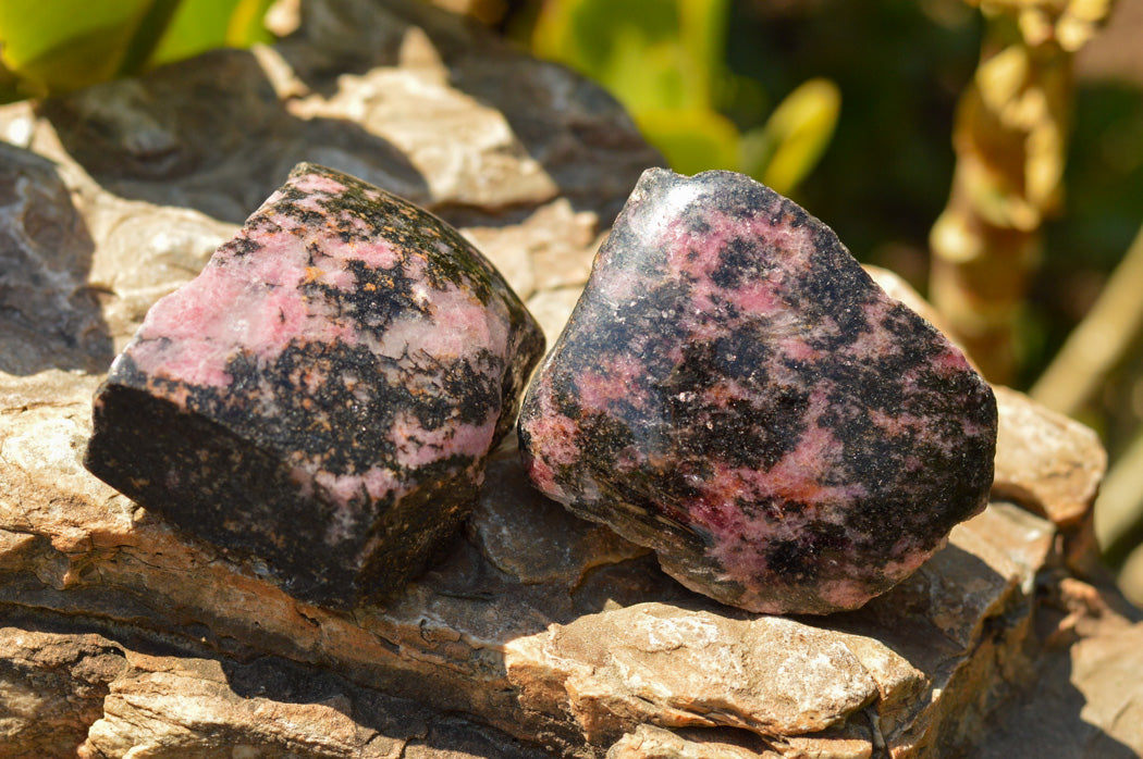 Polished One Side Polished Rhodonite Free Forms x 5 From Ambindavato, Madagascar - TopRock