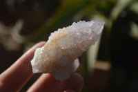 Natural Pale Lilac Spirit Quartz Crystals x 35 From Boekenhouthoek, South Africa - Toprock Gemstones and Minerals