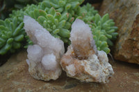 Natural Spirit Amethyst Quartz Clusters  x 12 From Boekenhouthoek, South Africa - Toprock Gemstones and Minerals