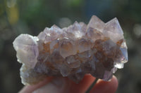 Natural Mixed Spirit Amethyst Quartz Clusters  x 6 From Boekenhouthoek, South Africa - Toprock Gemstones and Minerals