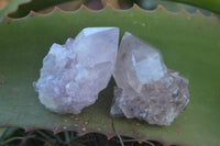 Natural Spirit Amethyst Quartz Crystals x 20 From Boekenhouthoek, South Africa - Toprock Gemstones and Minerals