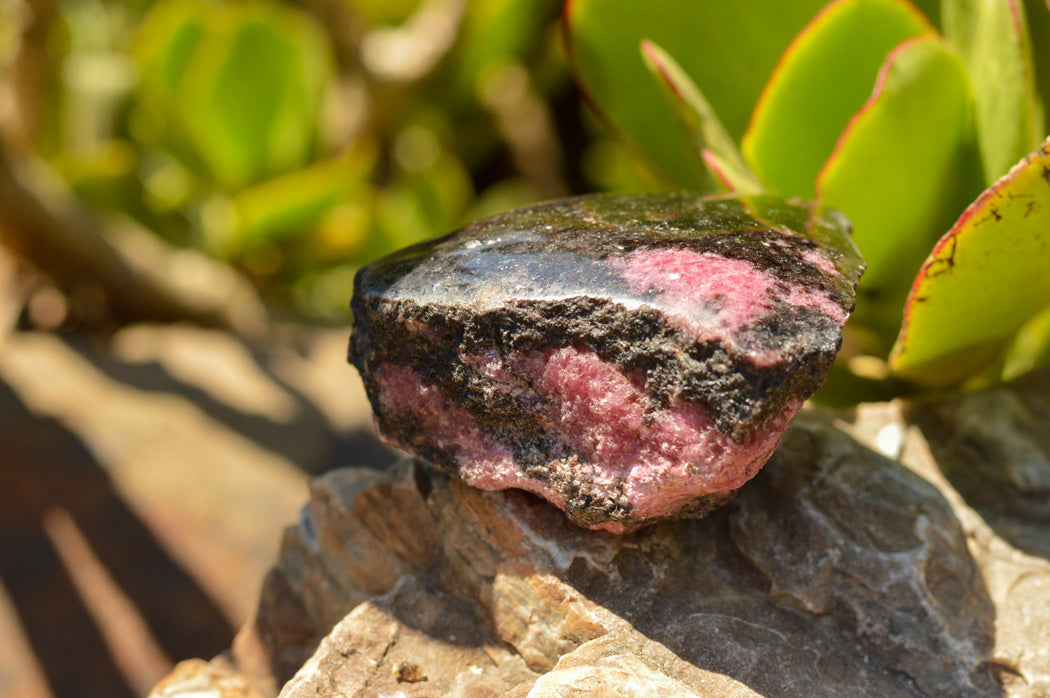 Polished One Side Polished Rhodonite Free Forms x 5 From Ambindavato, Madagascar - TopRock