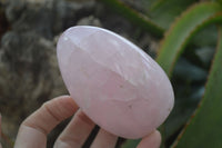 Polished Pink Rose Quartz Standing Free Forms x 4 From Antsirabe, Madagascar - Toprock Gemstones and Minerals