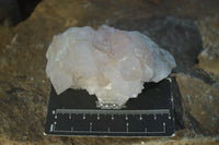 Natural Mixed Spirit Amethyst Quartz Clusters  x 6 From Boekenhouthoek, South Africa - Toprock Gemstones and Minerals