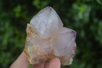Natural Spirit Amethyst Quartz Clusters  x 6 From Boekenhouthoek, South Africa - Toprock Gemstones and Minerals