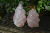 Polished Pink Rose Quartz Flame Sculptures x 2 From Madagascar - Toprock Gemstones and Minerals