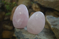 Polished Pink Rose Quartz Standing Free Forms x 4 From Antsirabe, Madagascar - Toprock Gemstones and Minerals
