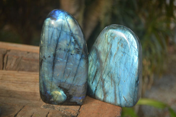 Polished Flashy Labradorite Standing Free Forms  x 2 From Tulear, Madagascar - Toprock Gemstones and Minerals 