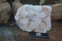 Natural White Spirit Cactus Quartz Clusters  x 2 From Boekenhouthoek, South Africa - Toprock Gemstones and Minerals