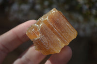 Natural Honey Aragonite Etched & Cobbed Pieces  x 35 From Namibia - Toprock Gemstones and Minerals