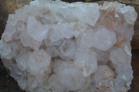 Natural White Spirit Cactus Quartz Clusters  x 2 From Boekenhouthoek, South Africa - Toprock Gemstones and Minerals