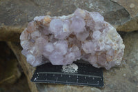 Natural Spirit Amethyst Quartz Clusters  x 6 From Boekenhouthoek, South Africa - Toprock Gemstones and Minerals
