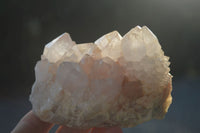 Natural White Spirit Cactus Quartz Clusters  x 2 From Boekenhouthoek, South Africa - Toprock Gemstones and Minerals