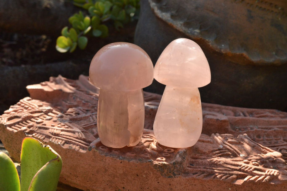 Polished Gemmy Pink Rose Quartz Mushrooms With Asterisms On Some x 7 From Madagascar - TopRock