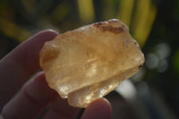 Natural Honey Aragonite Etched & Cobbed Pieces  x 35 From Namibia - Toprock Gemstones and Minerals