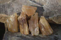 Natural Honey Aragonite Etched & Cobbed Pieces  x 35 From Namibia - Toprock Gemstones and Minerals
