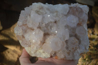 Natural White Spirit Cactus Quartz Clusters  x 2 From Boekenhouthoek, South Africa - Toprock Gemstones and Minerals
