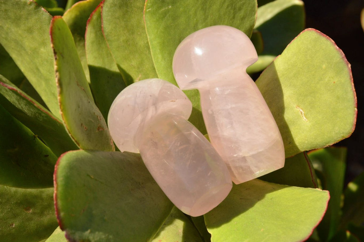 Polished Gemmy Pink Rose Quartz Mushrooms With Asterisms On Some x 7 From Madagascar - TopRock