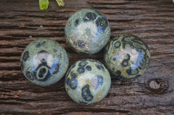 Polished Stromatolite / Kambamba Jasper Spheres  x 4 From Madagascar - Toprock Gemstones and Minerals 