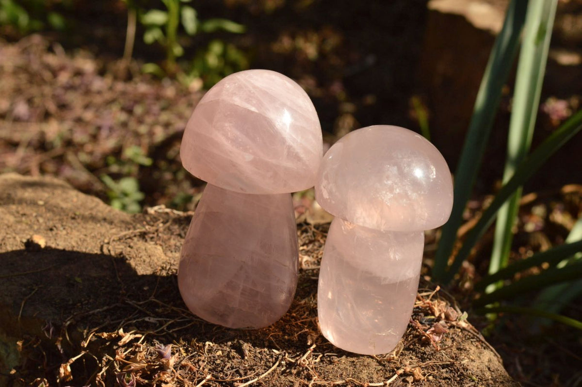 Polished Gemmy Pink Rose Quartz Mushrooms With Asterisms On Some x 7 From Madagascar - TopRock